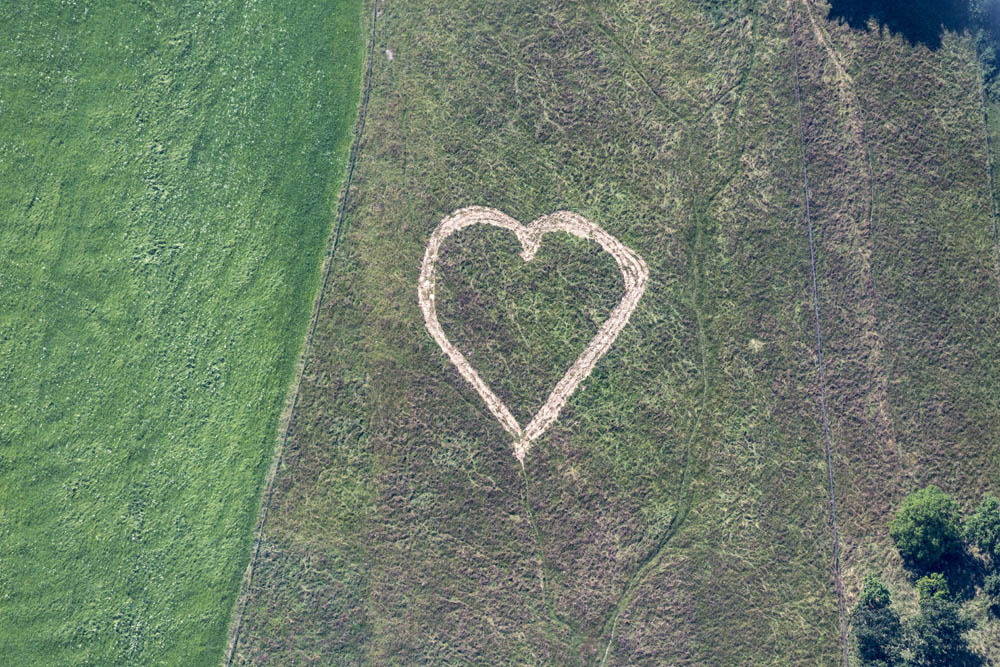 Heart in the meadow