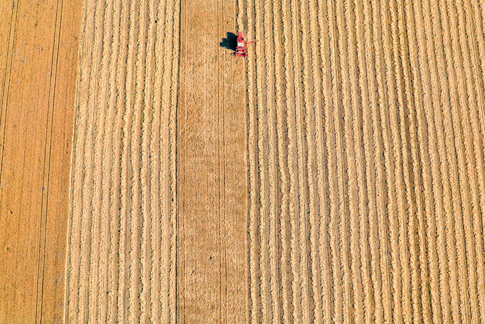 Roter Mähdrescher bei der Arbeit