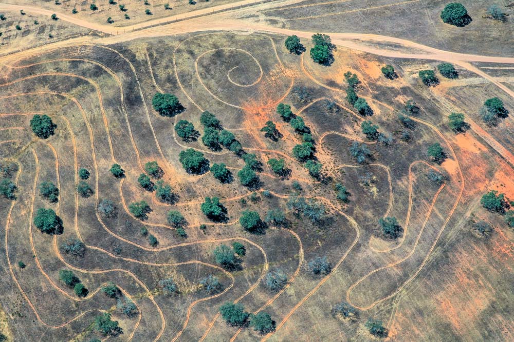 Korkeichen in Portugal