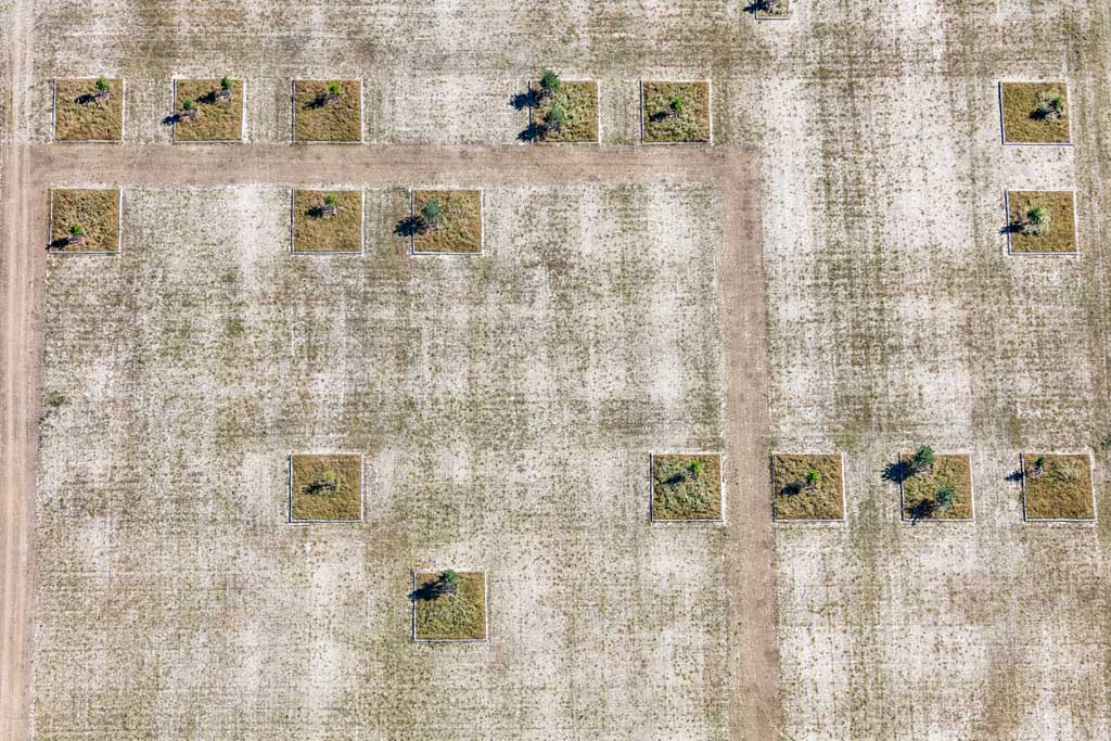 Parking spot with tree squares