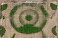 Fußballplatzsprühkunst