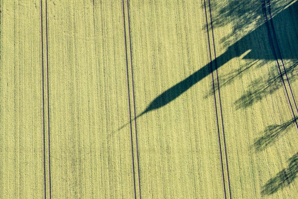Schatten im Feld