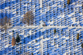 Friedhof im Schnee