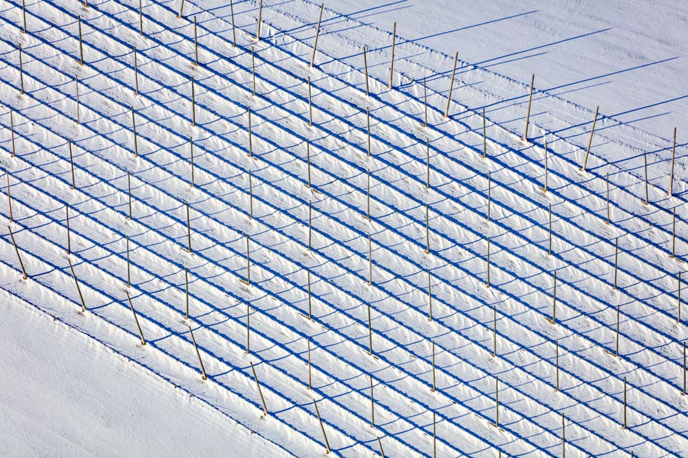 Hop poles in the snow