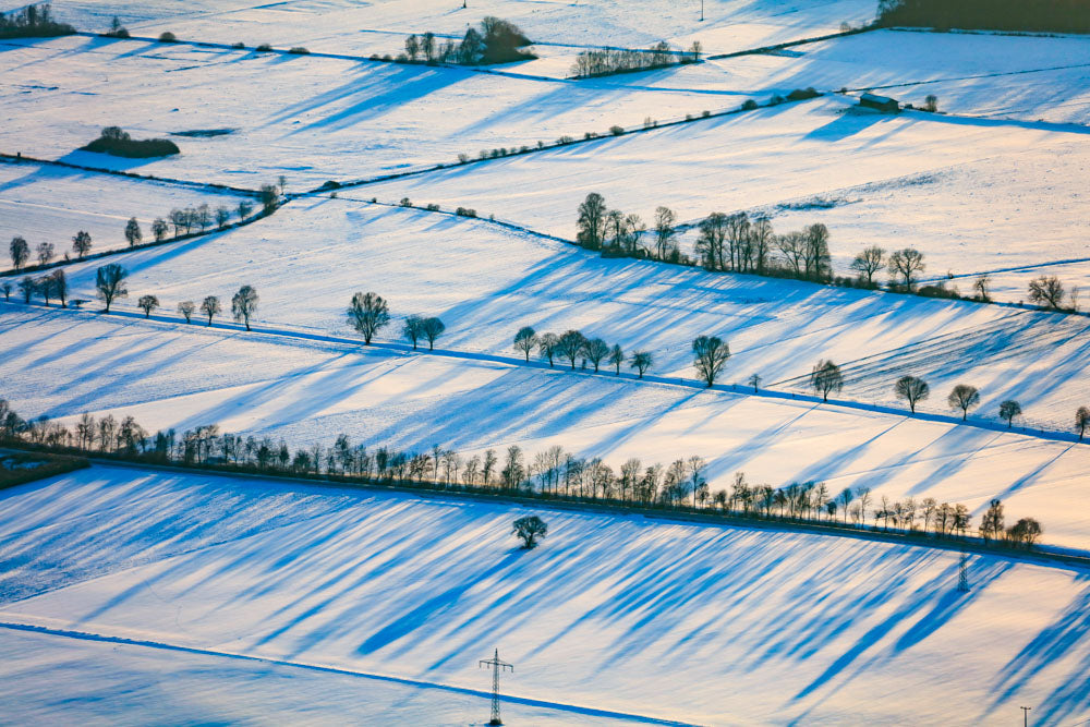 Winter landscape in the Oberköllnbach Marsh