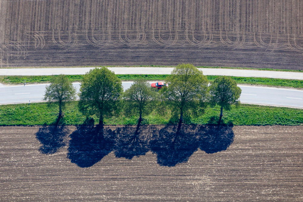 Rotes Auto hinter einer Baumreihe an der Landstraße