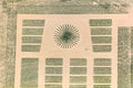 Saatzuchtfeld