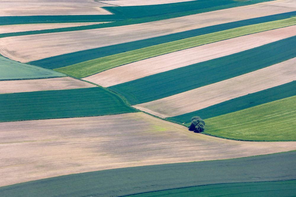 Ausgeräumte Ackerlandschaft