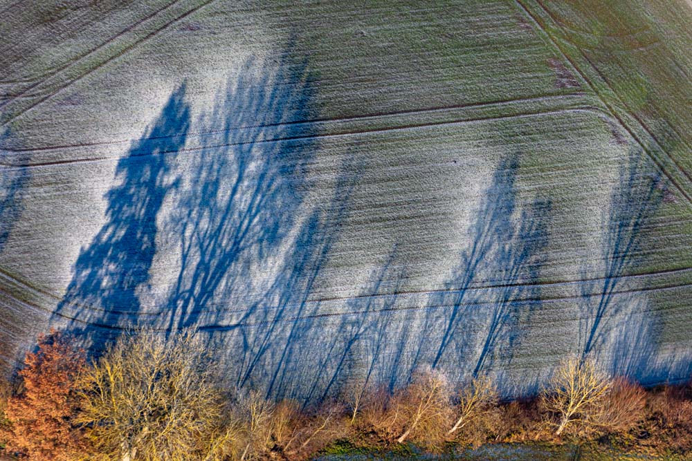 Baumschatten im winterlichen Acker