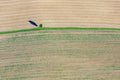 Einsamer Baum
