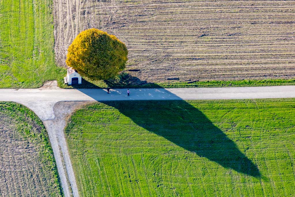 Chapel with Autumn Tree