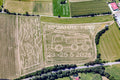 Graffiti im Maisfeld