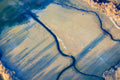 Blaue Ader im abgelassenen Fischteich