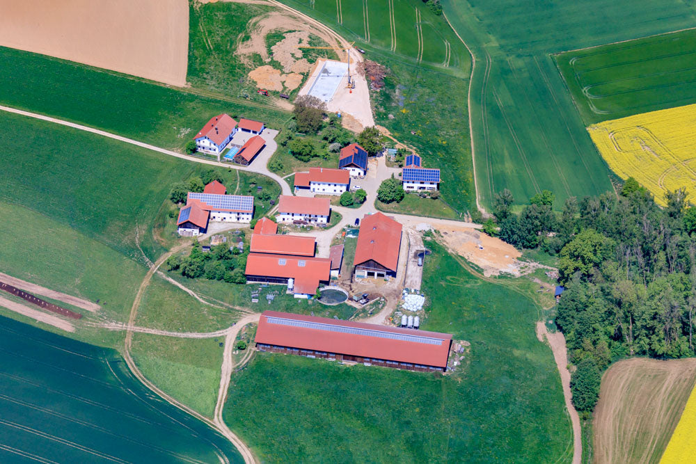 Spitzenberg