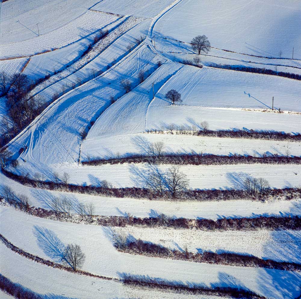 Hedgerow landscape near Pfrombach in winter