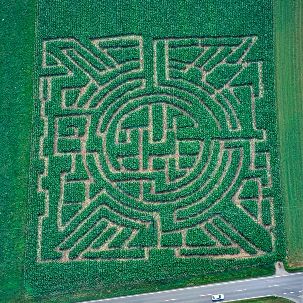 Chieming Corn Maze