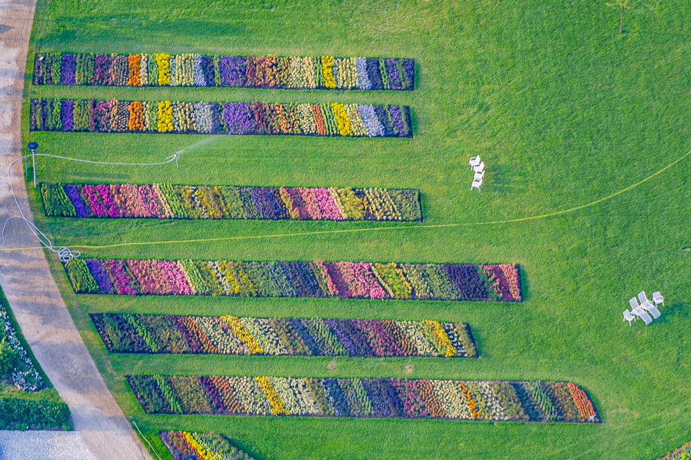 Bayerische Landesgartenschau 2001