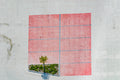 Kundenparkplatz mit Baum