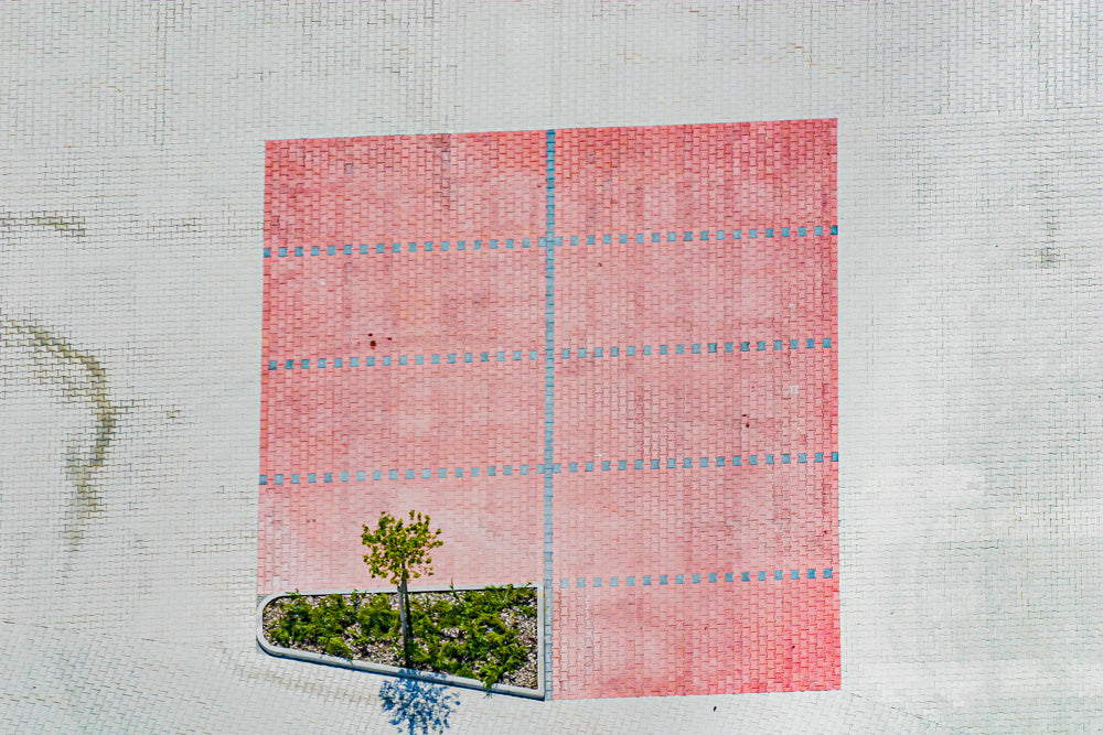 Kundenparkplatz mit Baum
