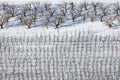 Teaching and demonstration farm for fruit growing - Deutenkofen 