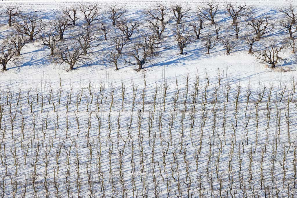 Teaching and demonstration farm for fruit growing - Deutenkofen 
