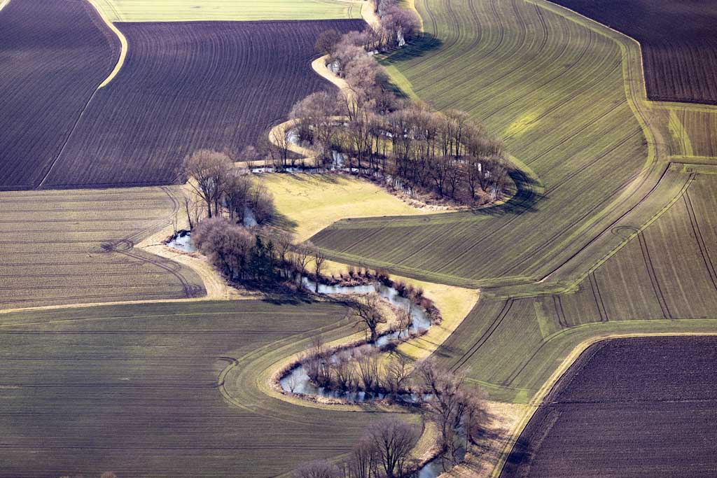 Curves of the Sempt