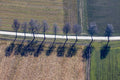 Jogger on the country road