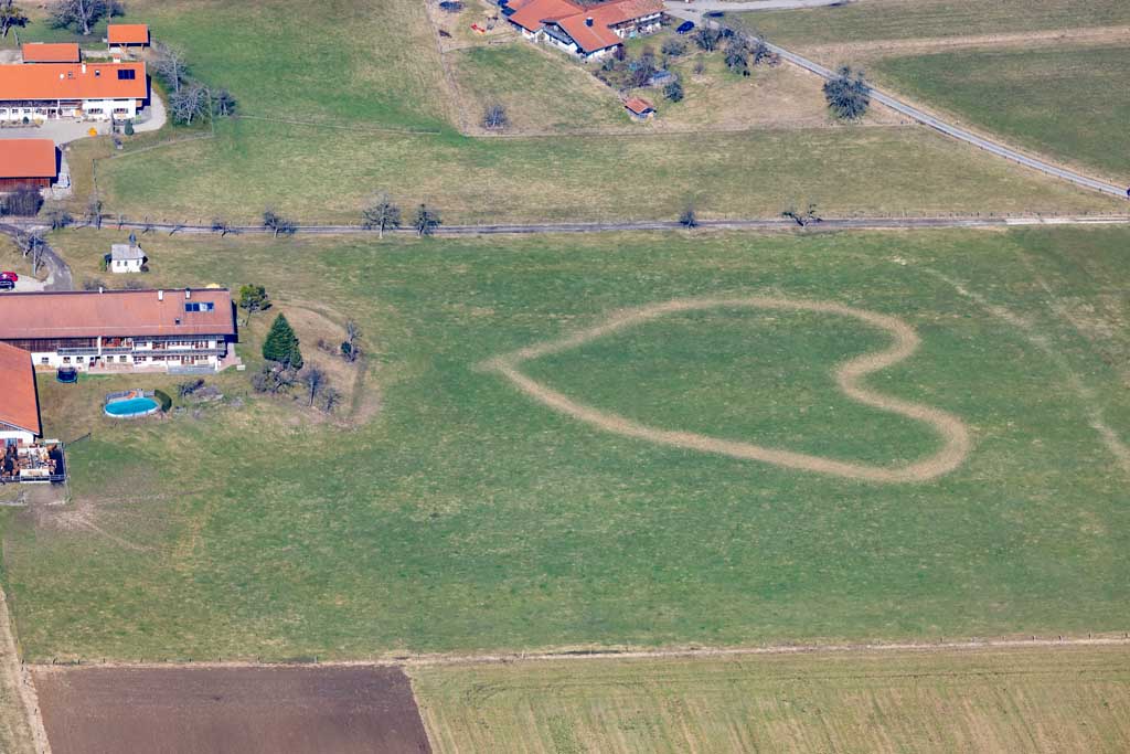 Heart on the meadow