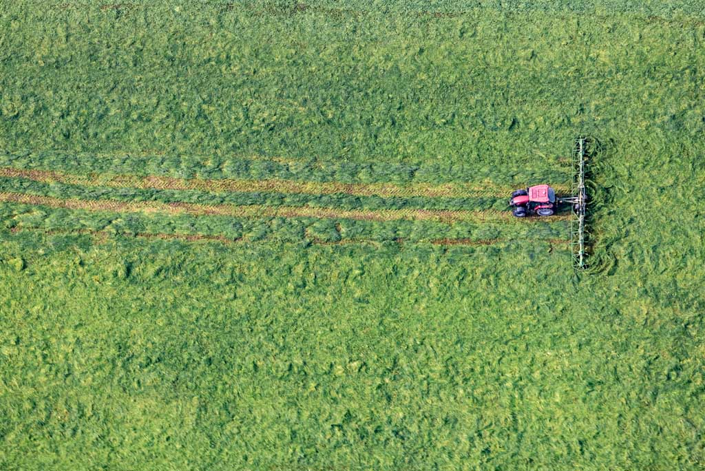 Red tractor turning hay 