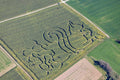 Corn Maze Squirrel