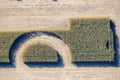 Corn harvest with semicircle