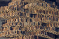 Timber storage area of ​​the Ladenburg timber works 