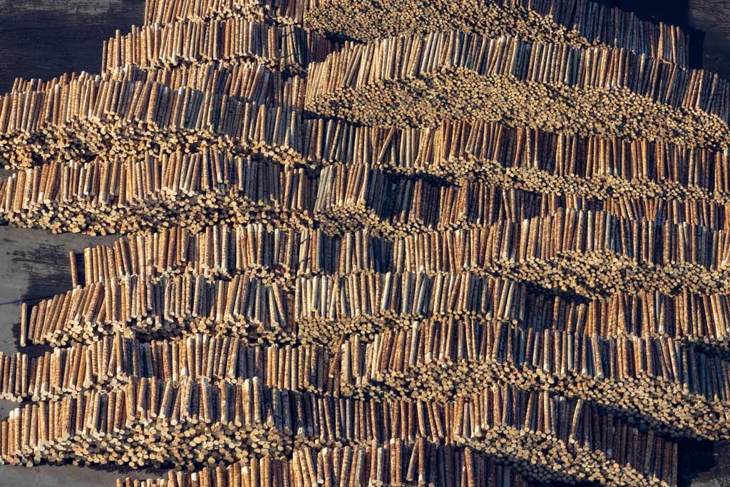 Timber storage area of ​​the Ladenburg timber works 