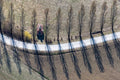 Small field chapel next to a row of poplars 