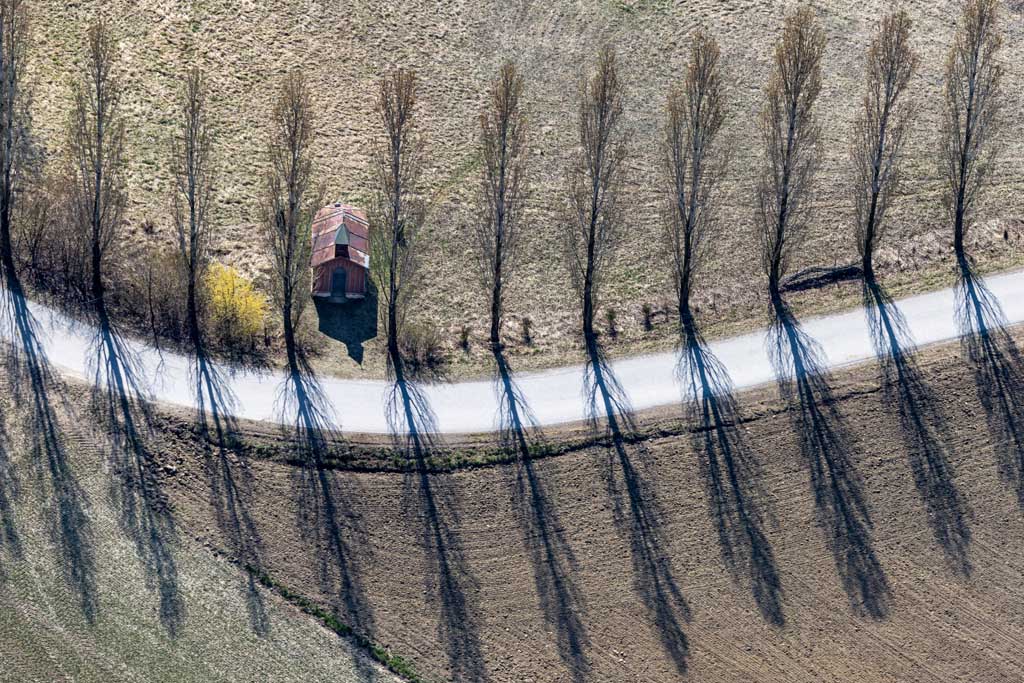 Small field chapel next to a row of poplars 