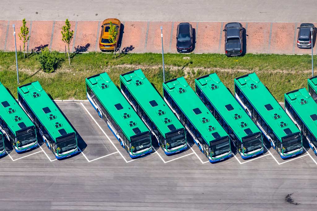 A series of green buses of the MVV 