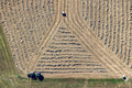 Hay harvest in the triangle 