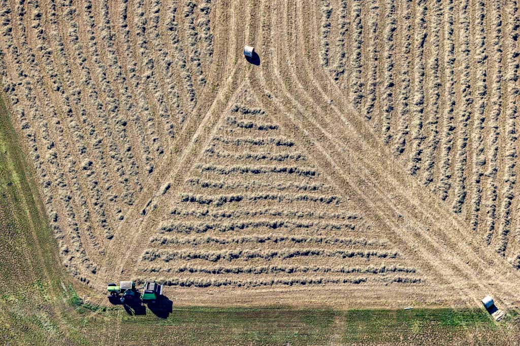Hay harvest in the triangle 