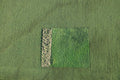 Bauerngrafik
