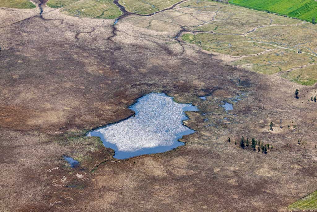 Reed Lake