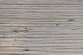 Spargelfeld foliert in weiß
