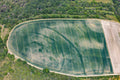 Positive vegetation characteristics