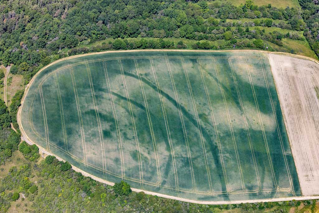 Positive vegetation characteristics