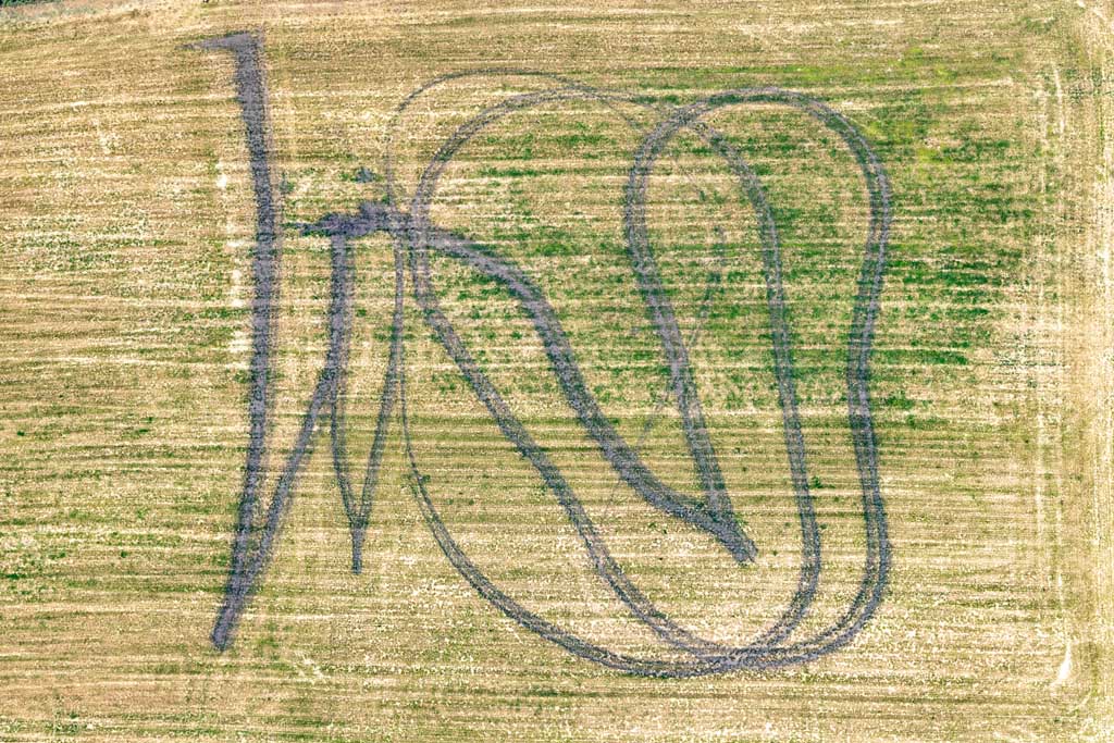 Mysterious tracks in the grassland 