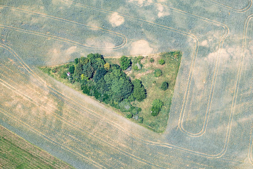 Dreieckige Insel im Getreidefeld