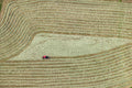 Red tractor turning hay 