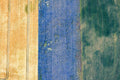 Bunte Felder