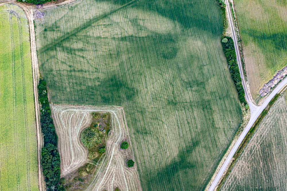 Grabhügel und Herrenhof