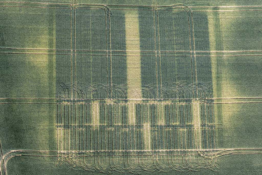 Seed breeding plot