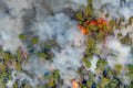 Waldbrand bei Strullendorf